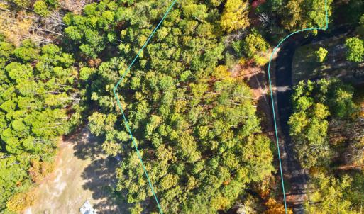 151 Cobblestone Aerial Close-up lot line