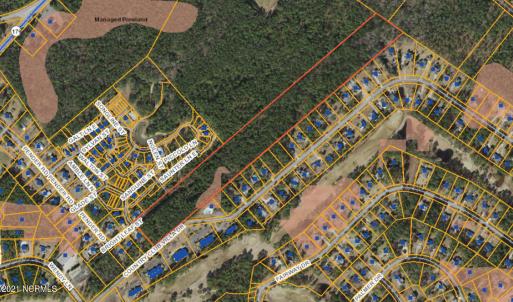 15.67acres Brightleaf St