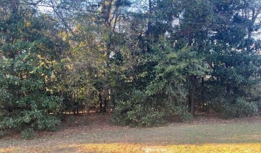 408 Lake Pines-Road Frontage