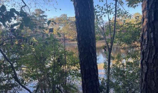 Back of lot-Lake View
