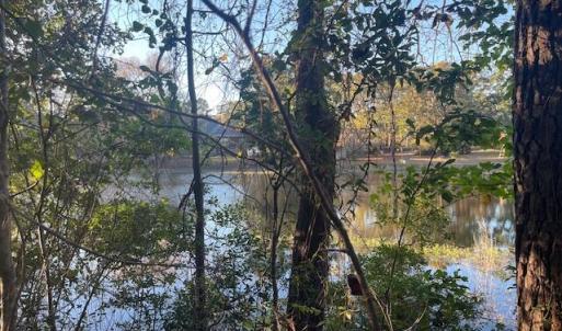 Back of lot-Lake View