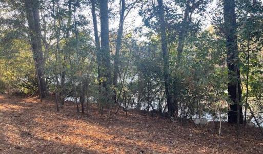 Back of lot-Lake View