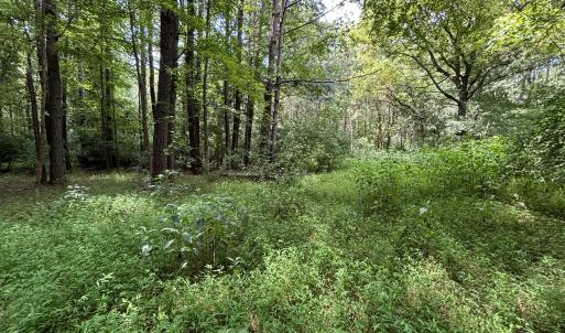 old homesite