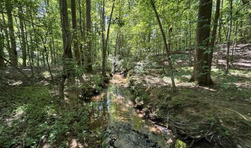 stream