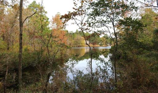 Cove View