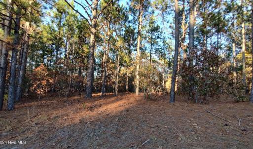 IMG_20241116_161920508_HDR