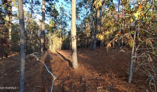 IMG_20241116_161937734_HDR
