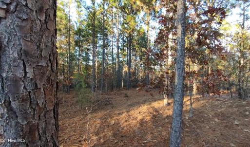 IMG_20241116_161940711_HDR