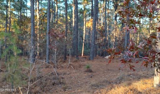 IMG_20241116_161944302_HDR