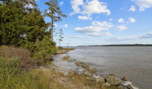 1-web-or-mls-1S3A0048