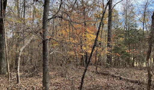 Land,2-000 Deane Beaver Rd