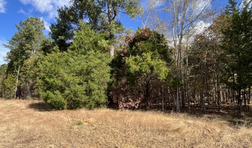 Road frontage,3-000 Deane Beaver Rd