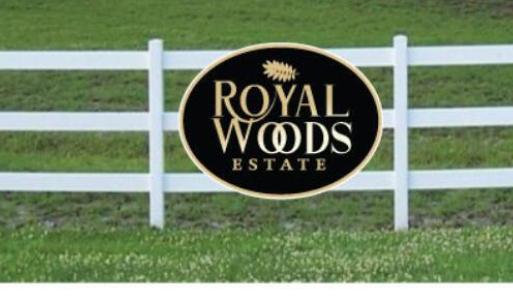 Photo Nov 12 2024, 11 17 12 AM (1)