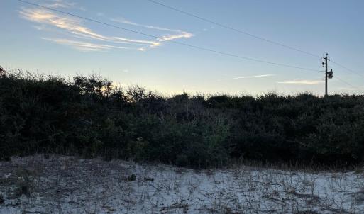 Roadside