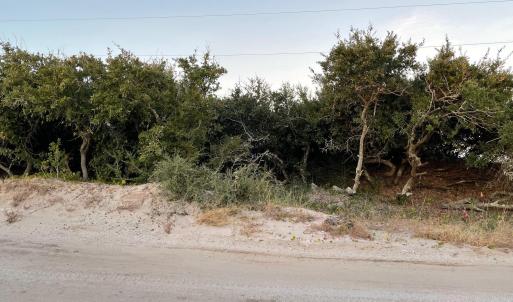Roadside