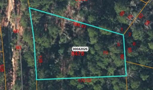 Screenshot 2024-11-26 at 3.40.04PM