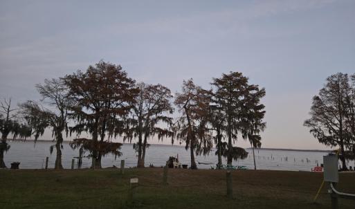 picnic area