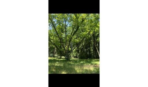 02-Photo 2