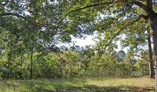 Wooded Homesite