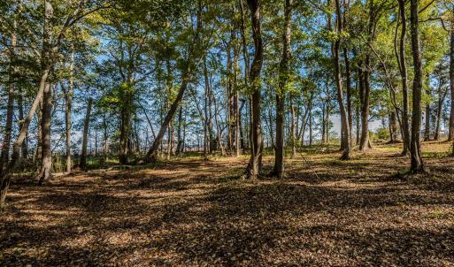 Carve out your homesite
