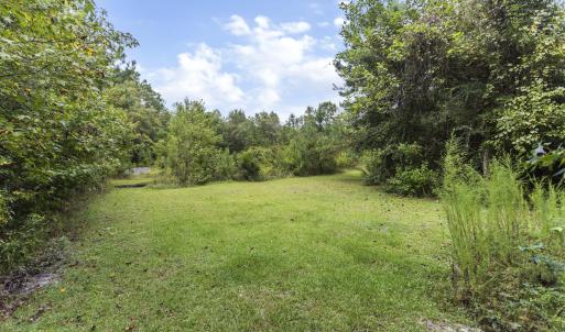 440 Carver Moore Rd path to pond