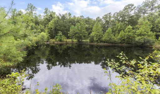 440 Carver Moore Rd pond 2