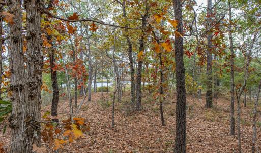 Brick Landing Lot-19