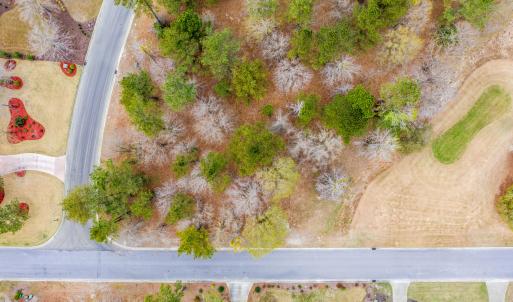 DJI_0565