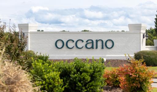 Occano-03
