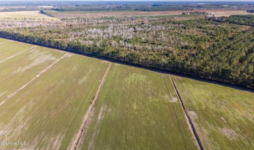 6-DJI_20241207094811_0009_D-HDR