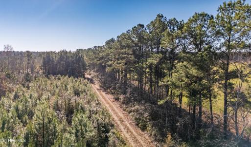 25-DJI_20241207100453_0045_D-HDR