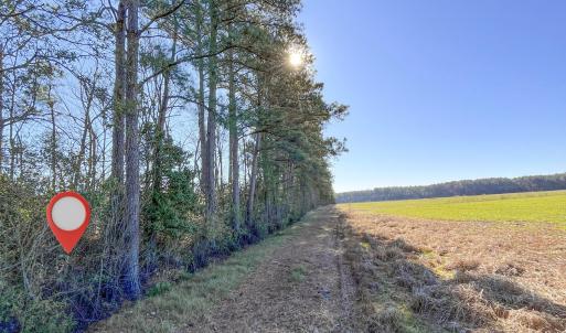 33-IMG_6042-Edit