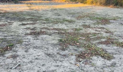 462651874_2378913079117050_3593226149612