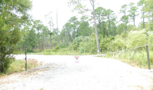 Photo #8 of 372 Greenview Ranches, Wilmington, NC 37.8 acres