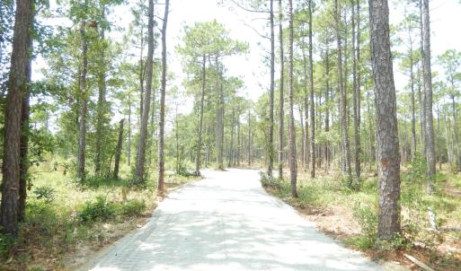 Photo #9 of 372 Greenview Ranches, Wilmington, NC 37.8 acres