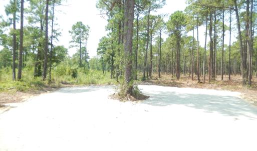 Photo #10 of 372 Greenview Ranches, Wilmington, NC 37.8 acres