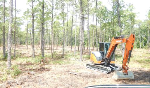 Photo #13 of 372 Greenview Ranches, Wilmington, NC 37.8 acres