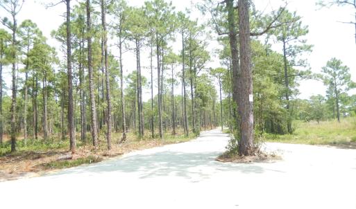 Photo #11 of 372 Greenview Ranches, Wilmington, NC 37.8 acres