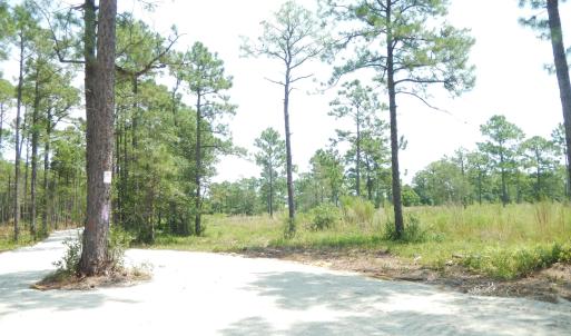 Photo #12 of 372 Greenview Ranches, Wilmington, NC 37.8 acres