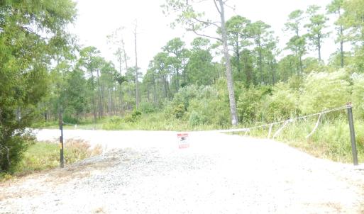 Photo #8 of 372 Greenview Ranches, Wilmington, NC 37.8 acres
