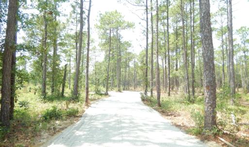 Photo #9 of 372 Greenview Ranches, Wilmington, NC 37.8 acres
