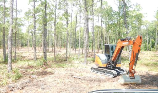 Photo #13 of 372 Greenview Ranches, Wilmington, NC 37.8 acres