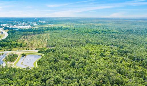 Heavily wooded land