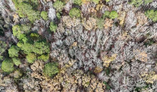 dji_fly_20241213_122550_0259_17341110294