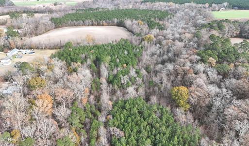 dji_fly_20241213_131046_0275_17341137897