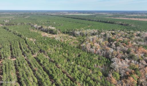 DJI_0578 (1)