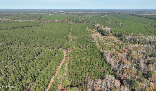 DJI_0579 (1)