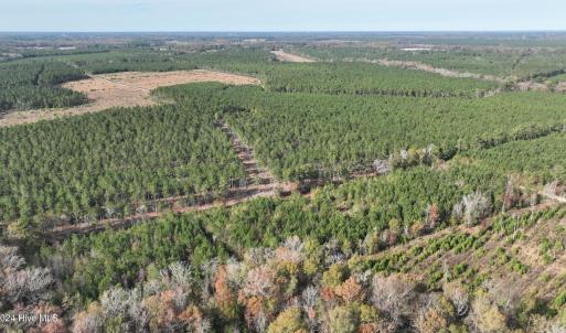 DJI_0581 (1)