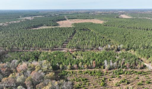 DJI_0582 (1)