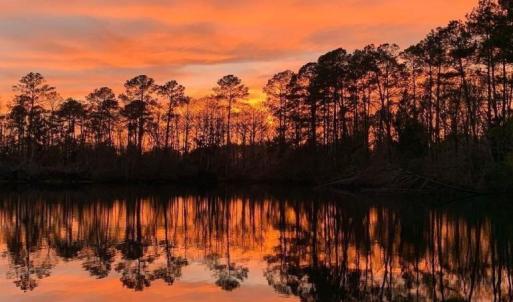 20240117142316707113000000-o